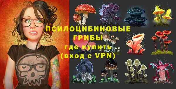 apvp Аркадак