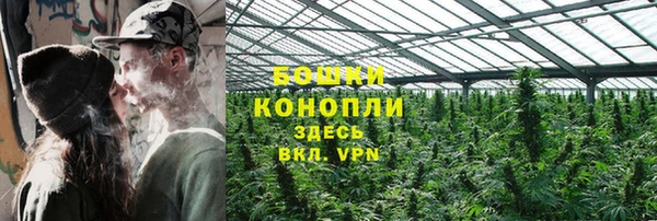 apvp Аркадак