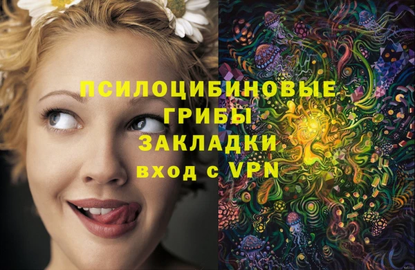 apvp Аркадак