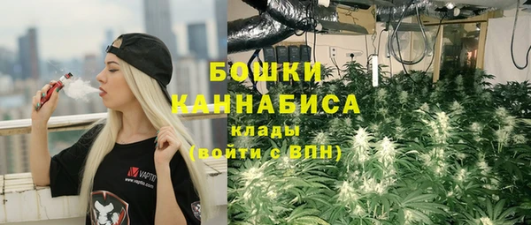 apvp Аркадак