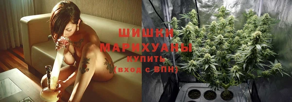 apvp Аркадак