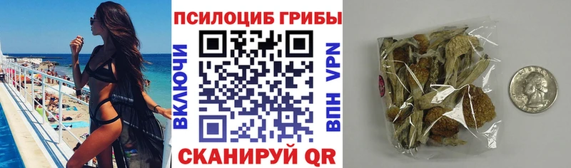 закладки  Высоковск  Галлюциногенные грибы GOLDEN TEACHER 